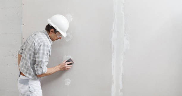 Reliable South Barrington, IL Drywall & Painting Services Solutions